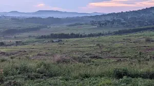 Kakiri -Titled Nsimba Estate Along Hoima Road