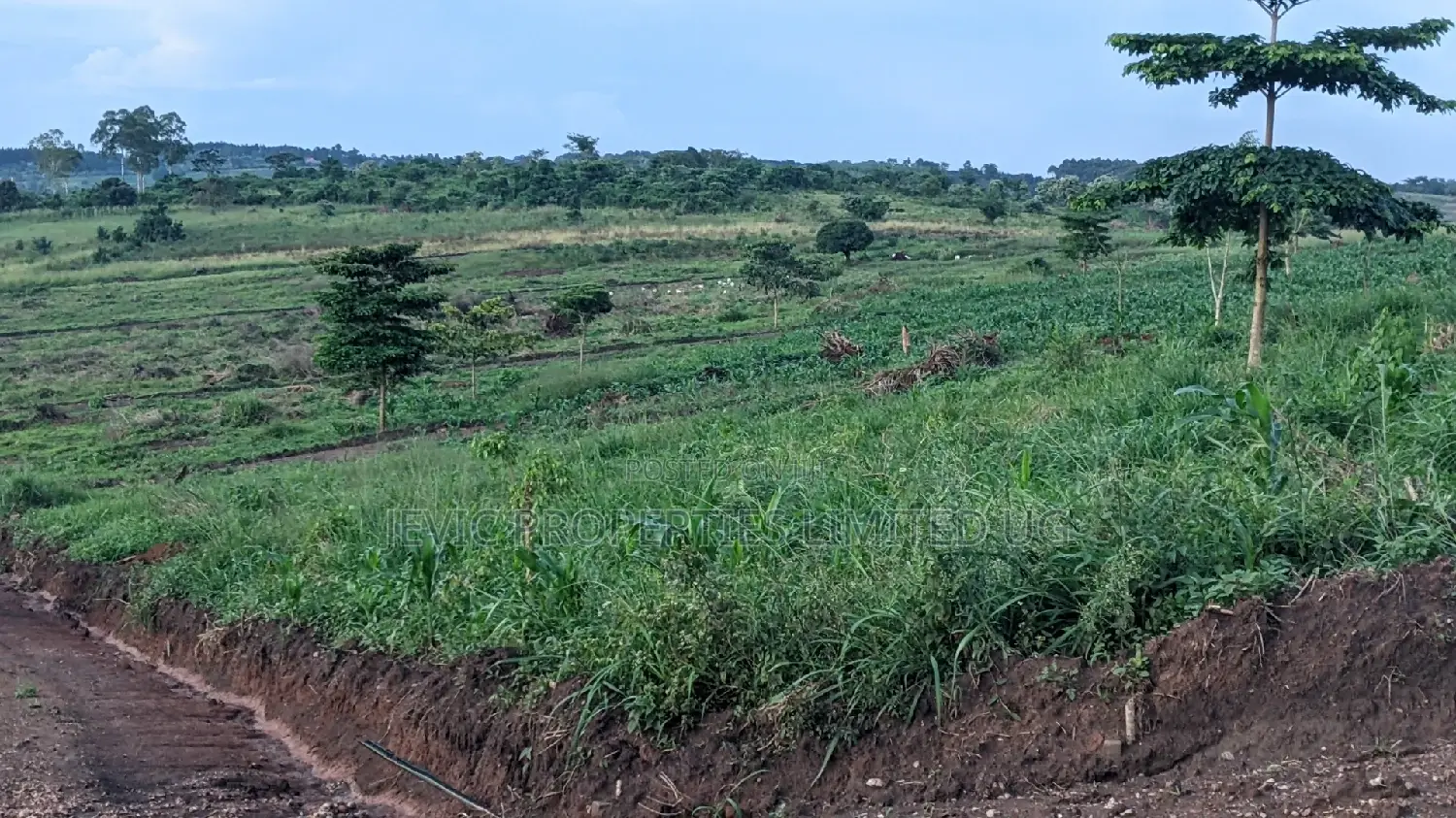 Kakiri -Titled Nsimba Estate Along Hoima Road