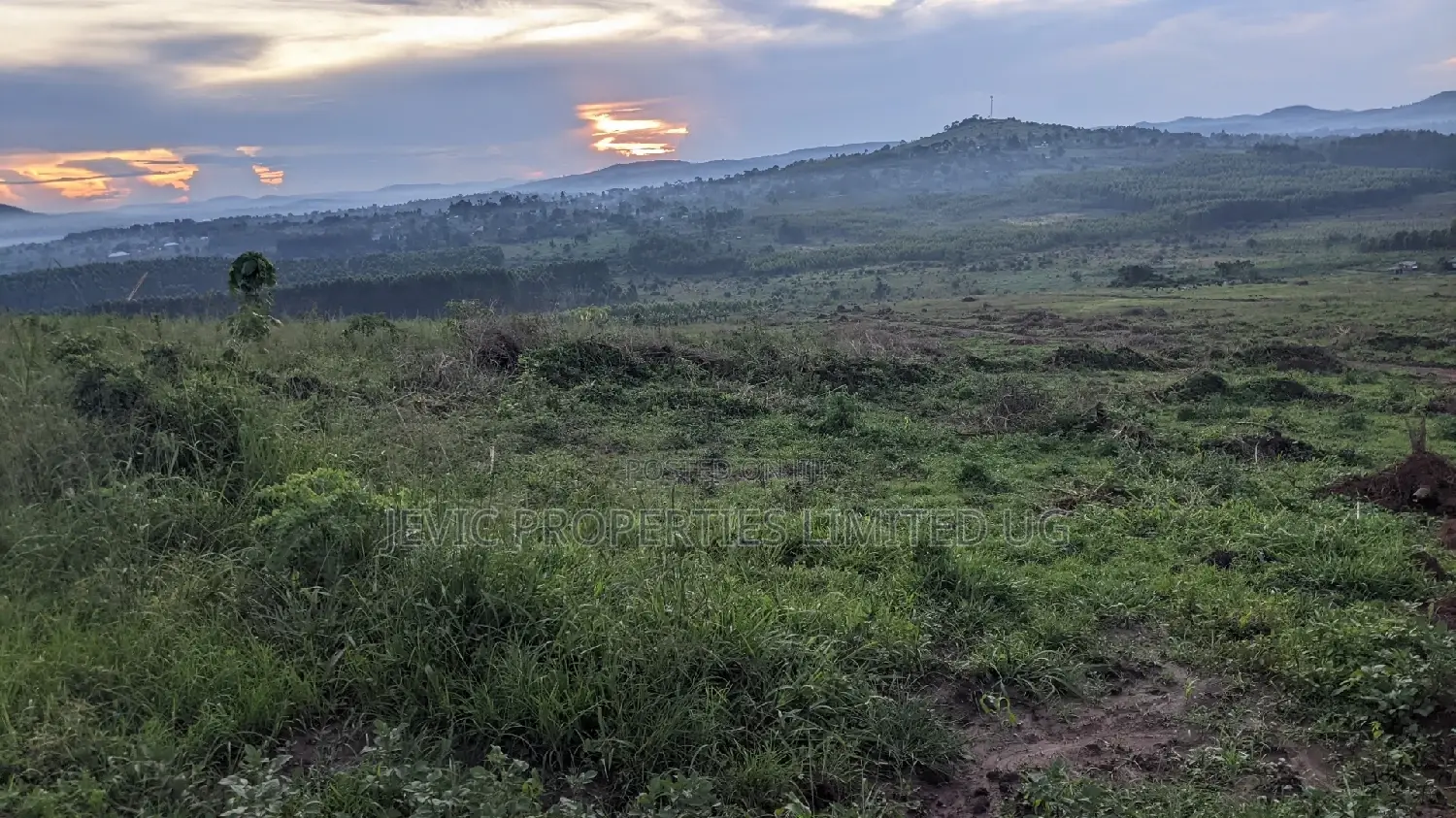 Nsimba Estate