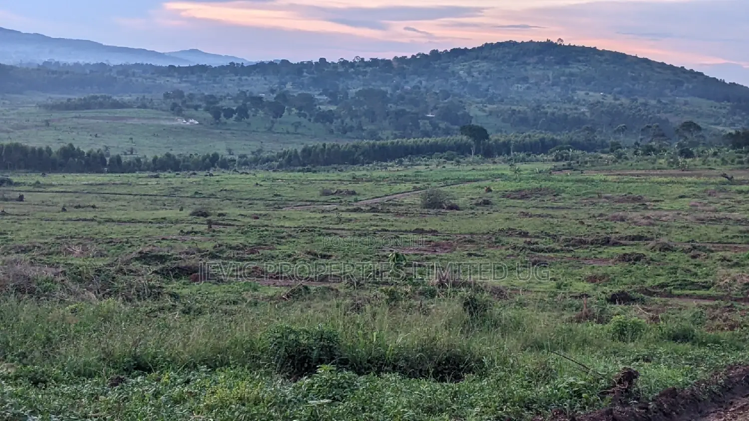 Nsimba Estate