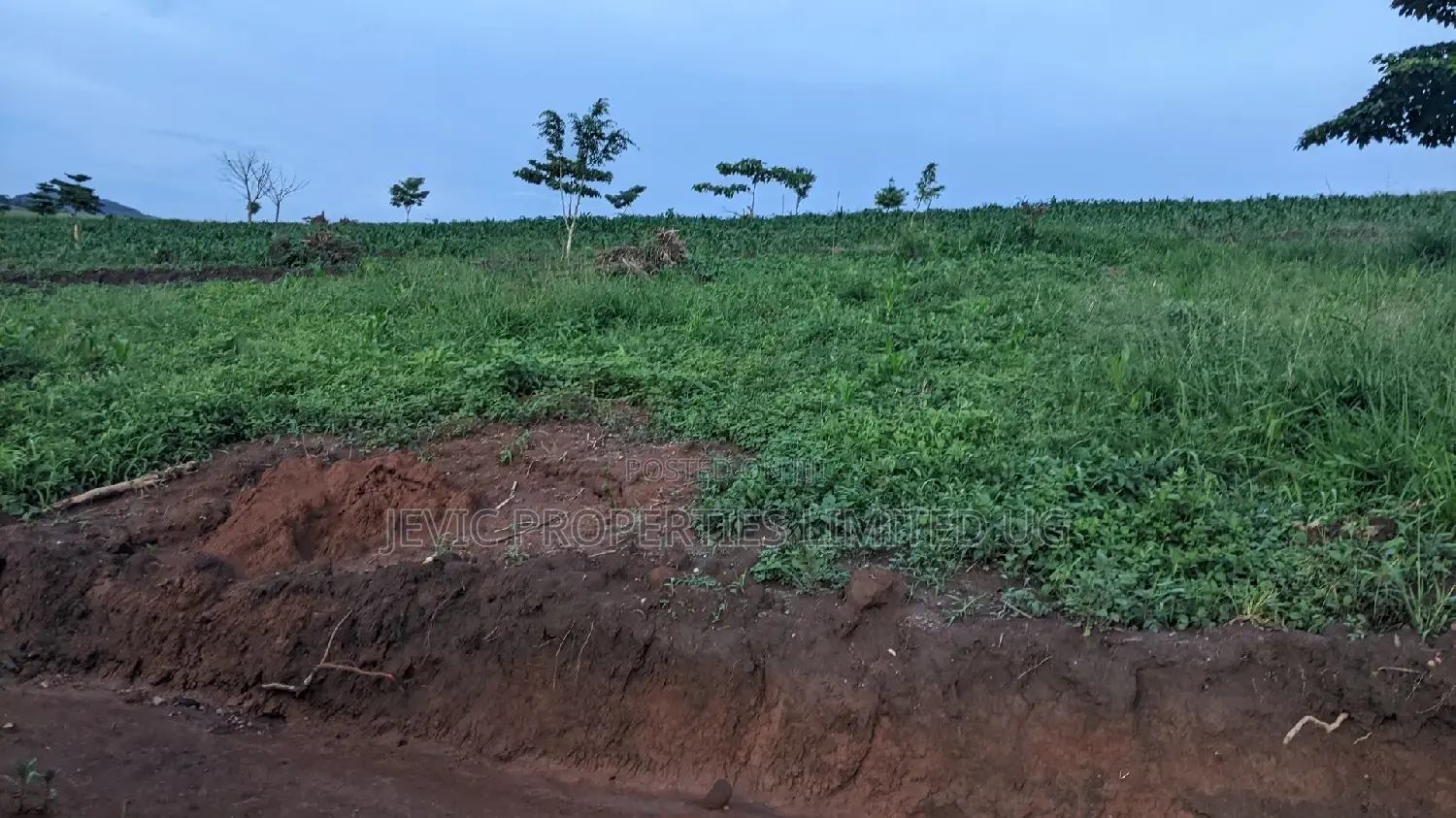 The Well Planned Nsimba Estate