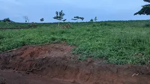 The Well Planned Nsimba Estate
