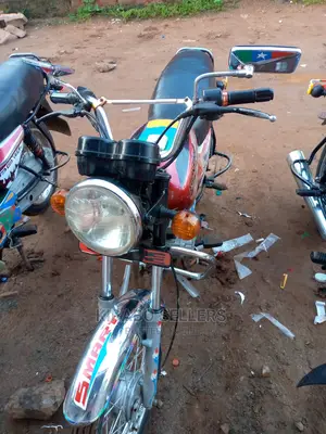 Bajaj Pulsar NS 160 2013 Purple