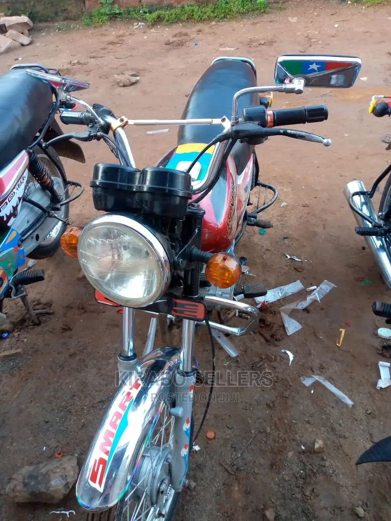 Bajaj Pulsar NS 160 2013 Purple
