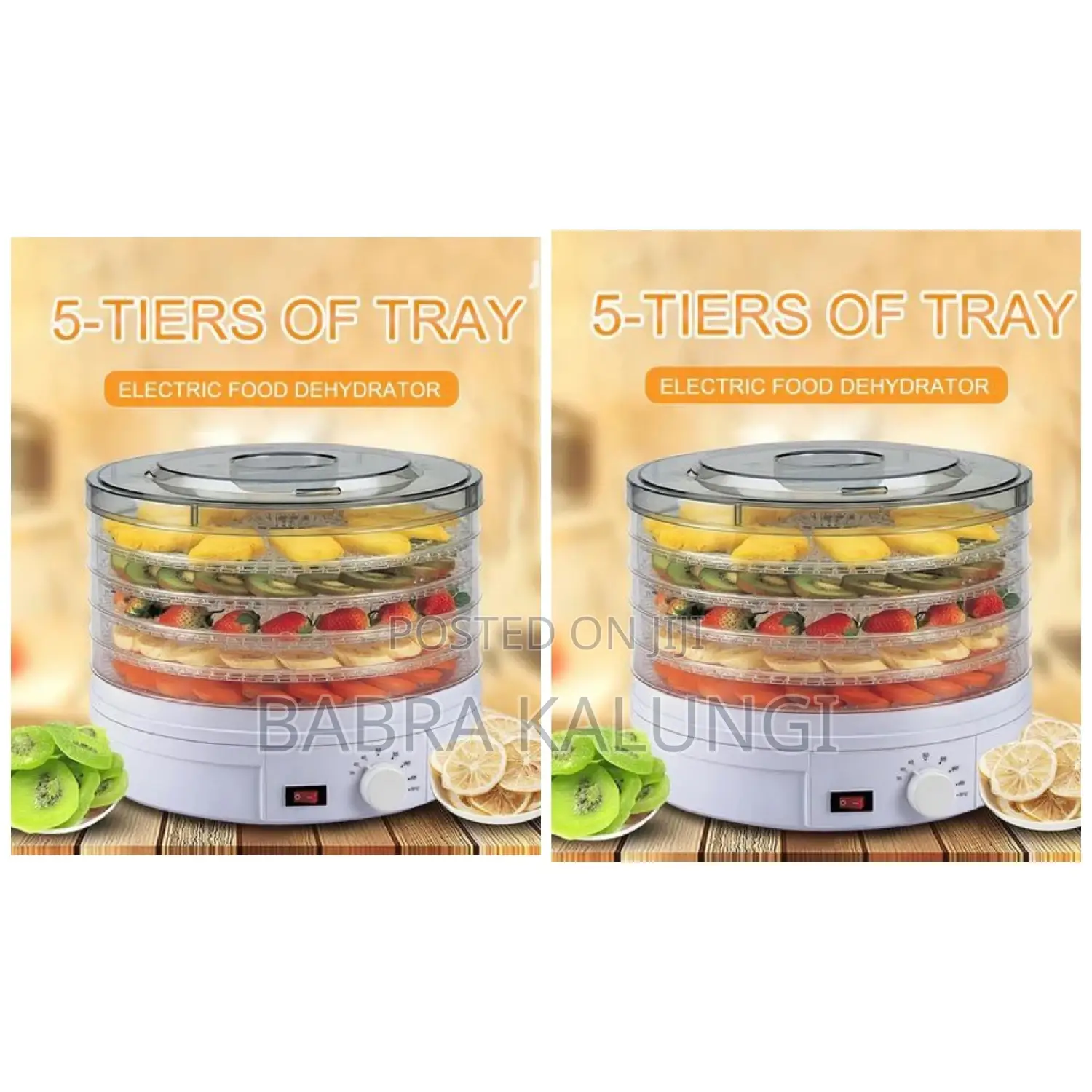 Electric Food Dehydrator
