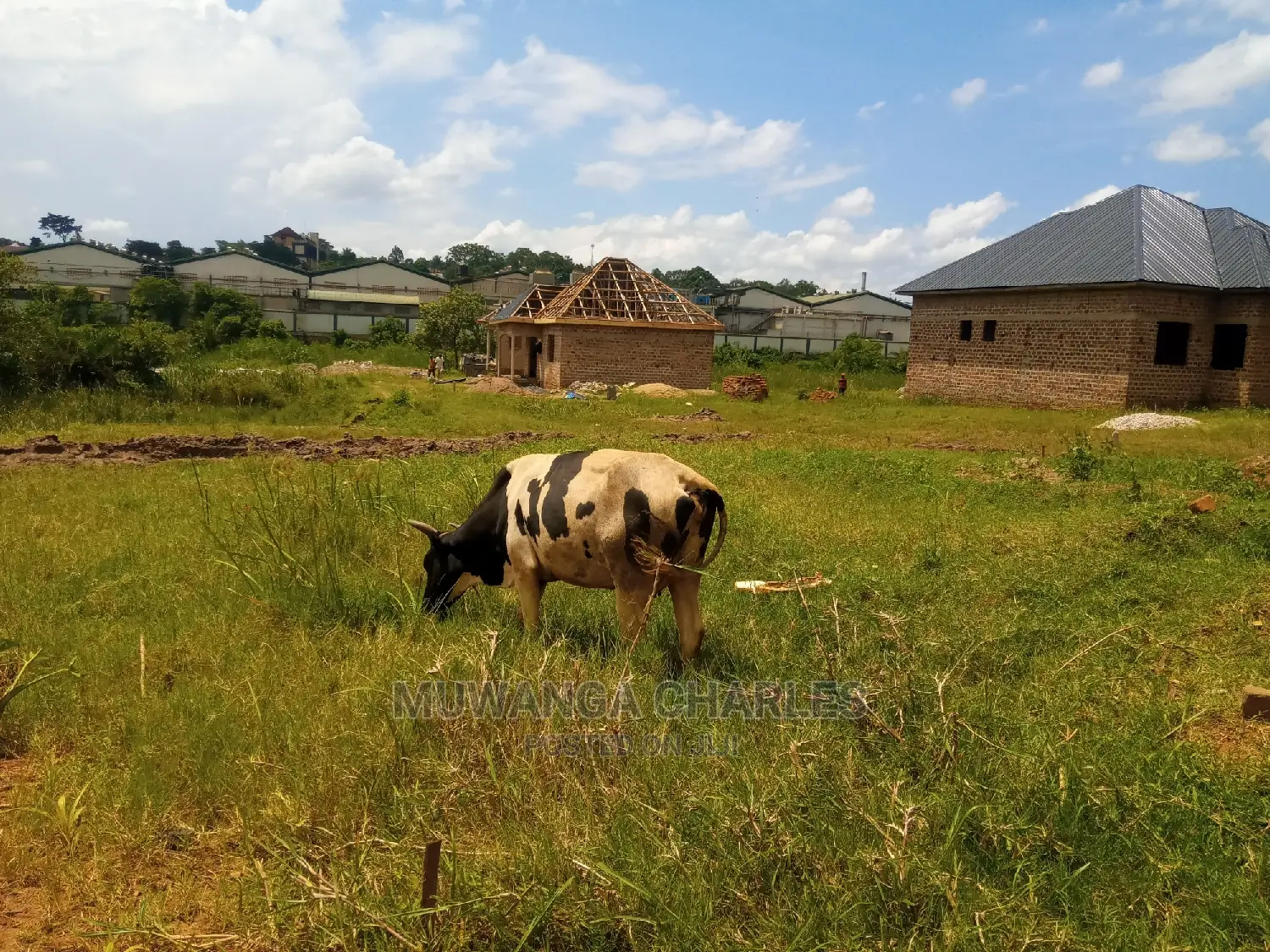 Plot for Sale at Busika Kalungu