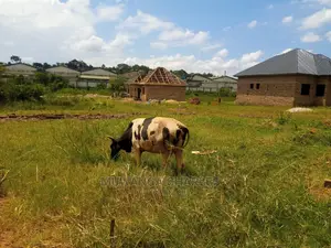 Plot for Sale at Busika Kalungu