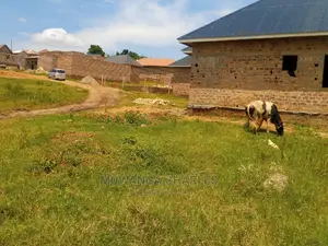 Plot for Sale at Busika Kalungu