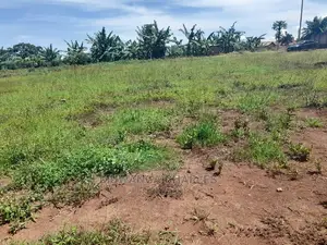 Plot's Available for Sale at Gayaza Nakwero