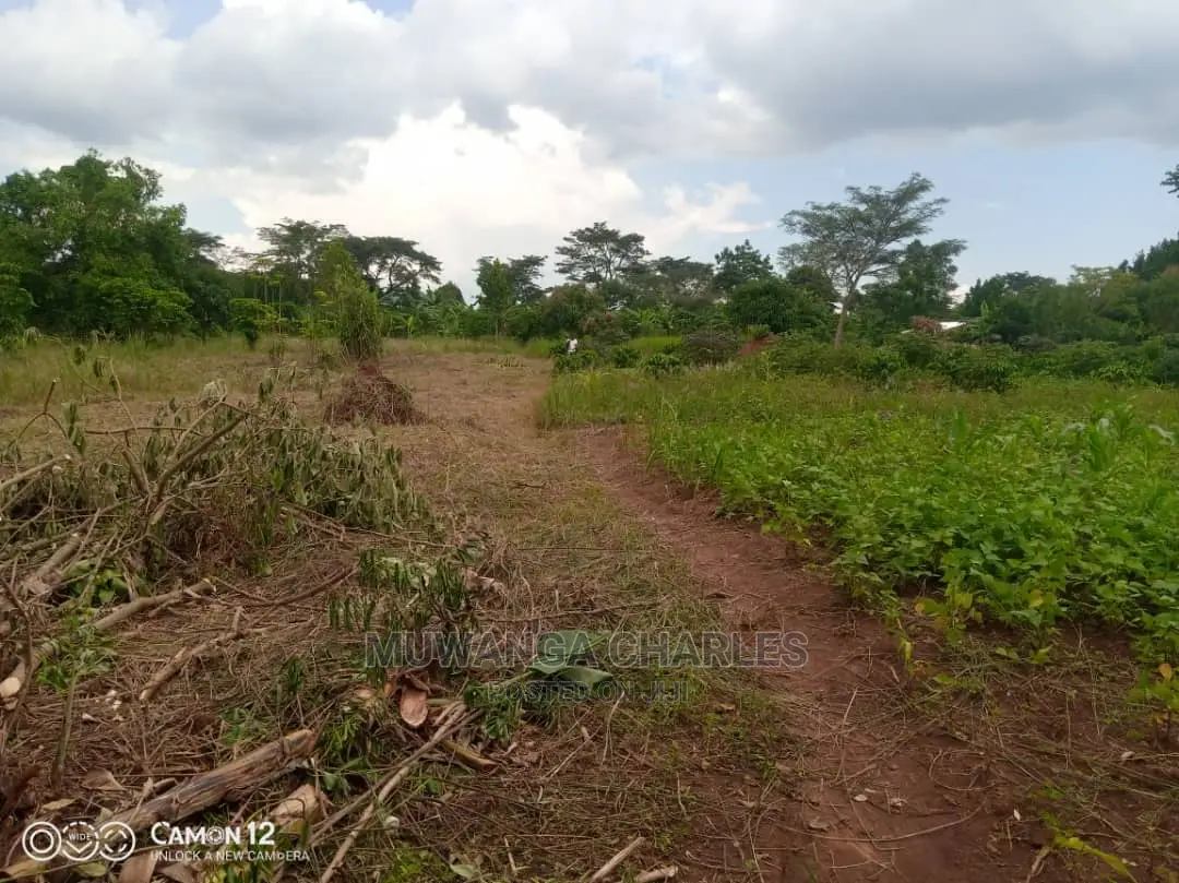 12decimals Plot of Land Available for Sale at Busukuma