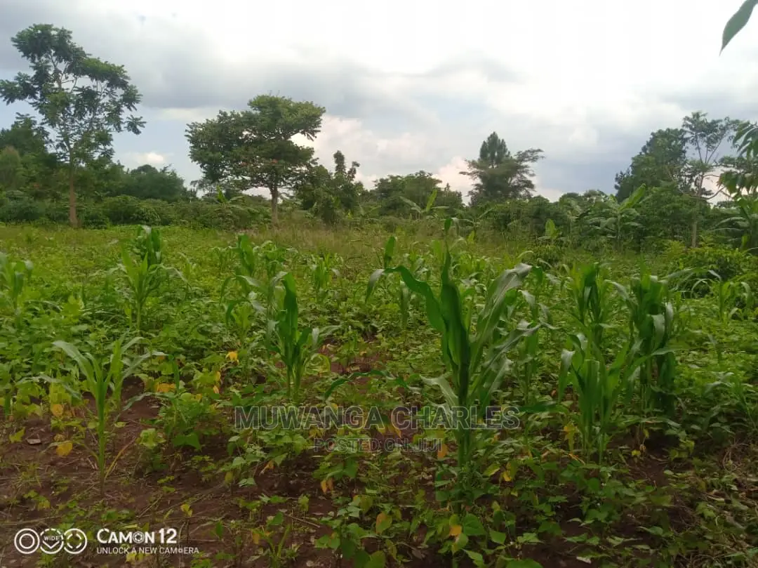 12decimals Plot of Land Available for Sale at Busukuma
