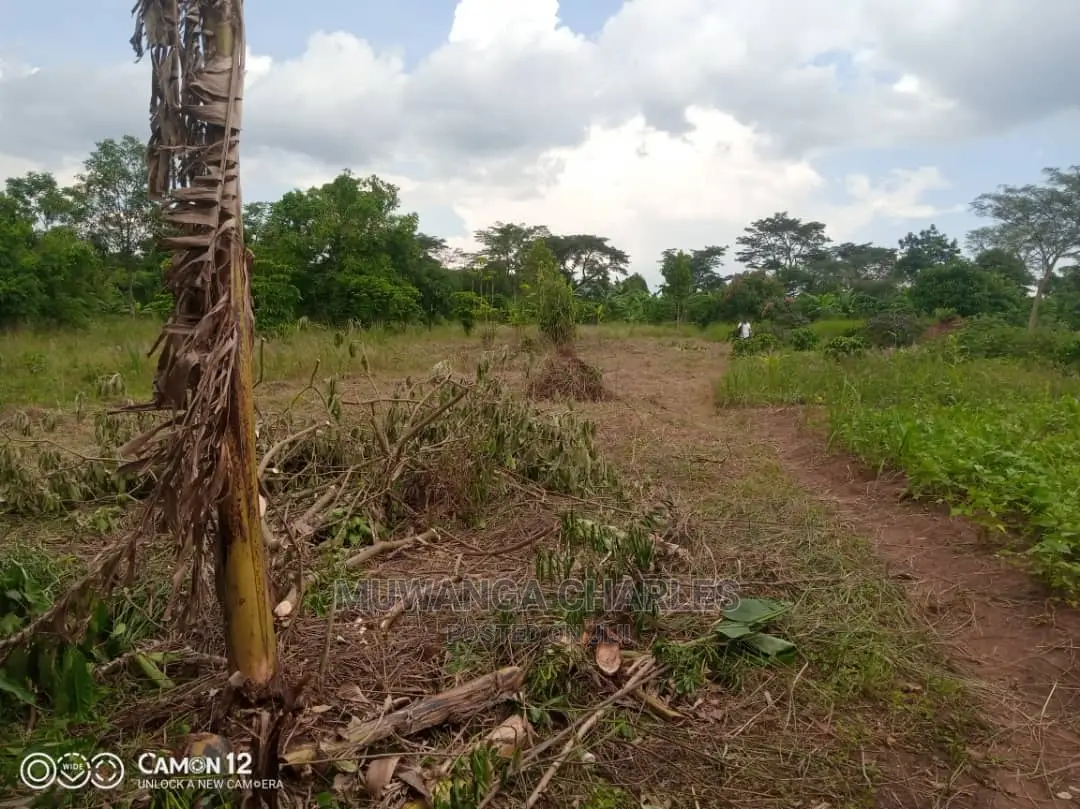 12decimals Plot of Land Available for Sale at Busukuma
