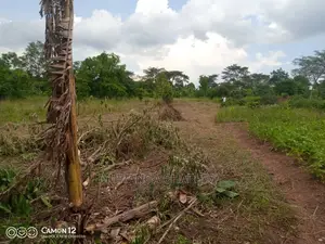12decimals Plot of Land Available for Sale at Busukuma