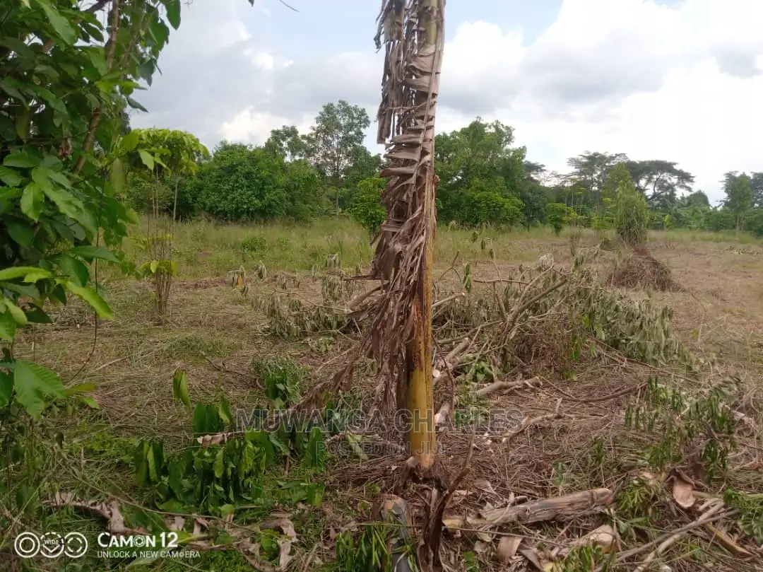 12decimals Plot of Land Available for Sale at Busukuma