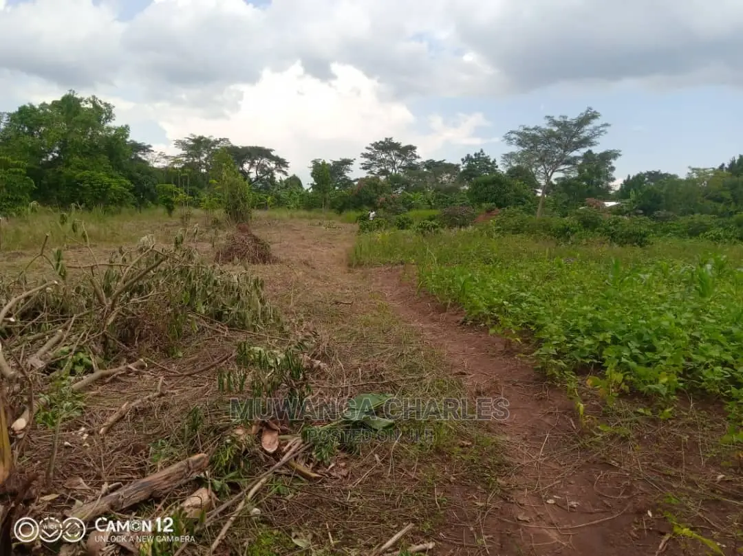 12decimals Plot of Land Available for Sale at Busukuma
