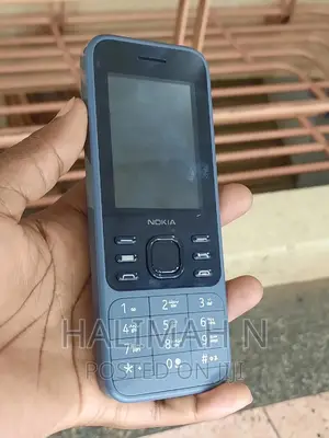 New Nokia 6300 Gray