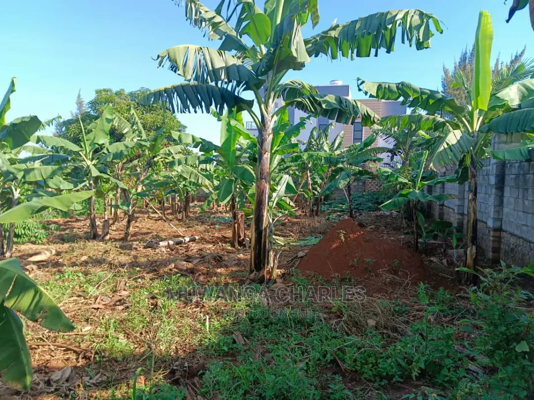 12decimals Plot Available for Sale at Kira Kimwanyi
