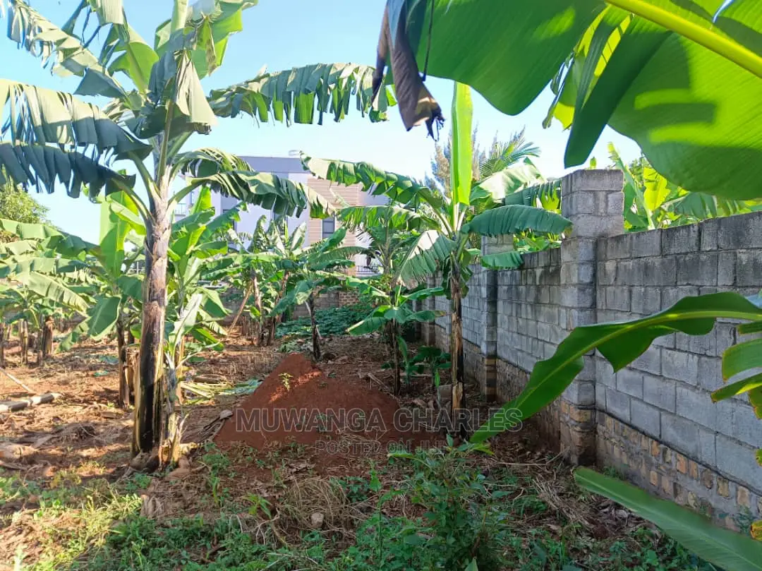 12decimals Plot Available for Sale at Kira Kimwanyi