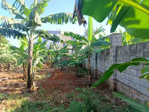 12decimals Plot Available for Sale at Kira Kimwanyi