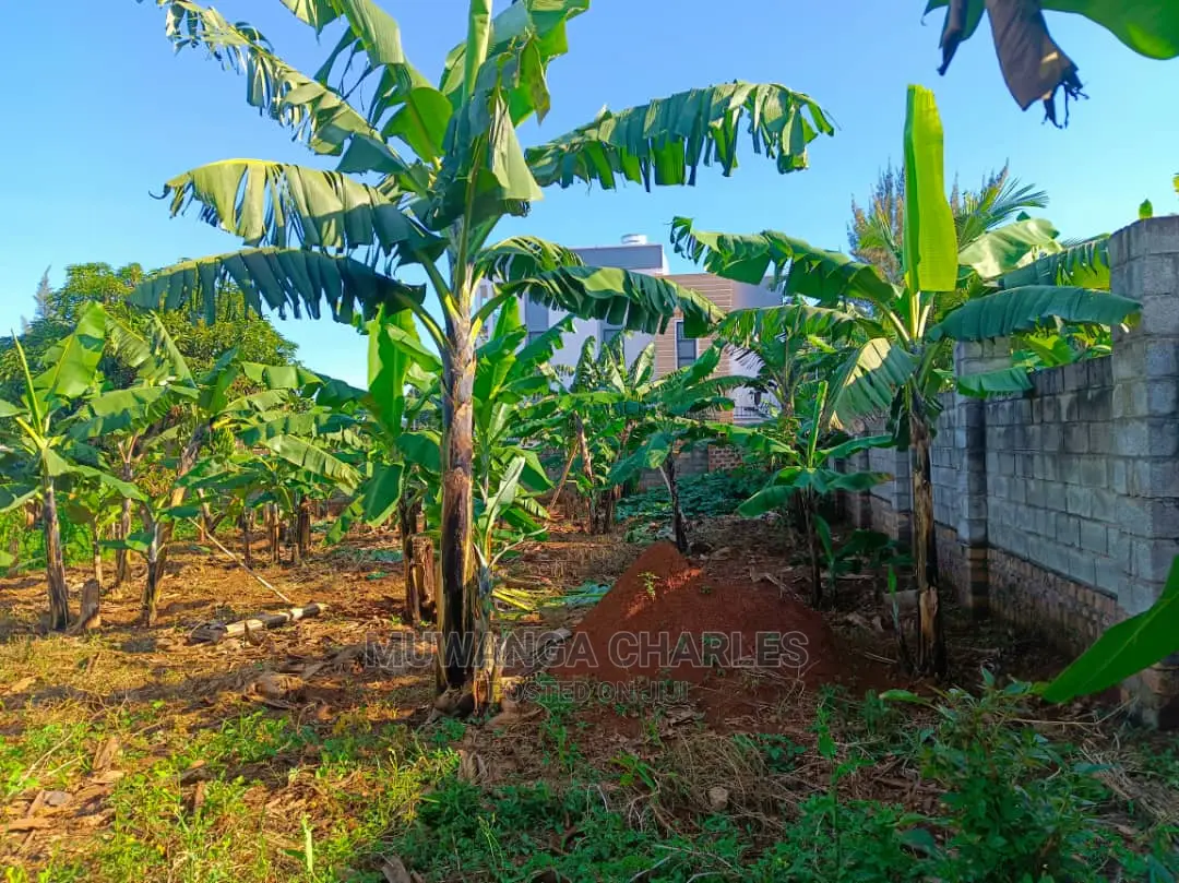 12decimals Plot Available for Sale at Kira Kimwanyi