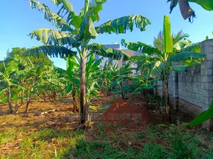 12decimals Plot Available for Sale at Kira Kimwanyi