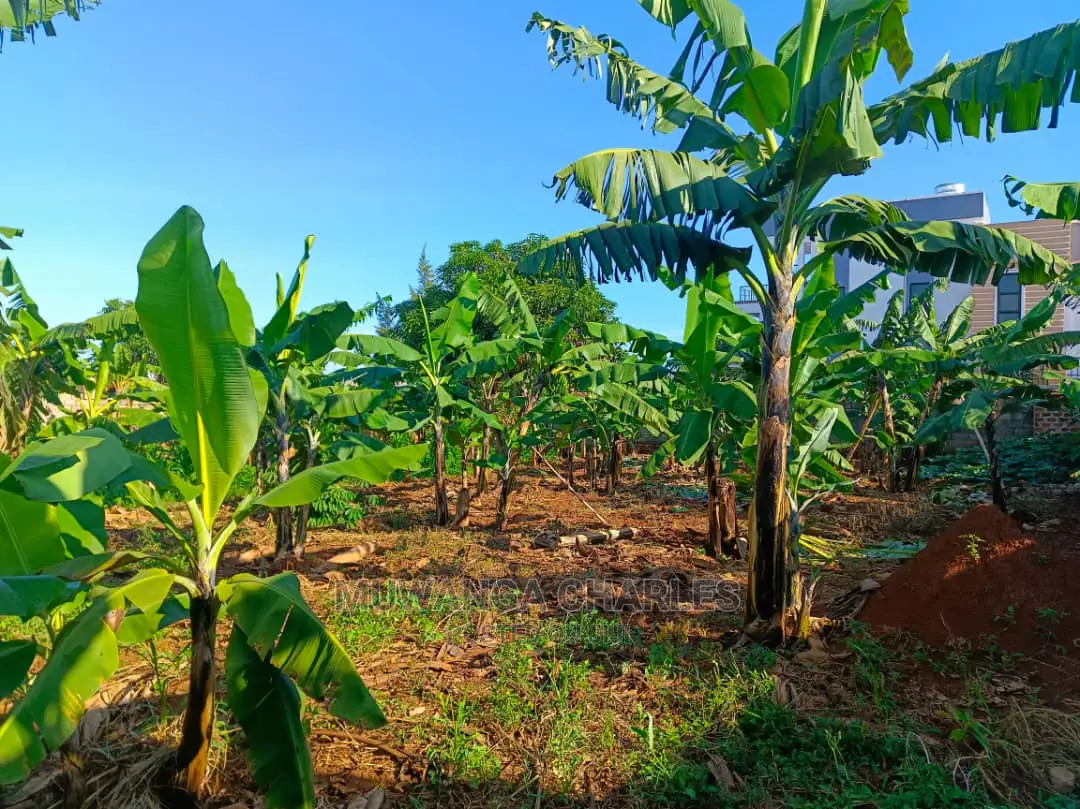 12decimals Plot Available for Sale at Kira Kimwanyi