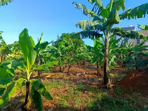 12decimals Plot Available for Sale at Kira Kimwanyi