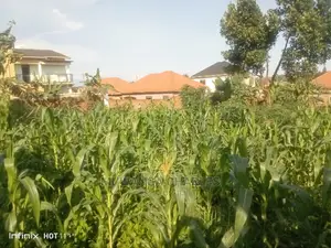 25decimals Available for Sale at Kira Kimwanyi
