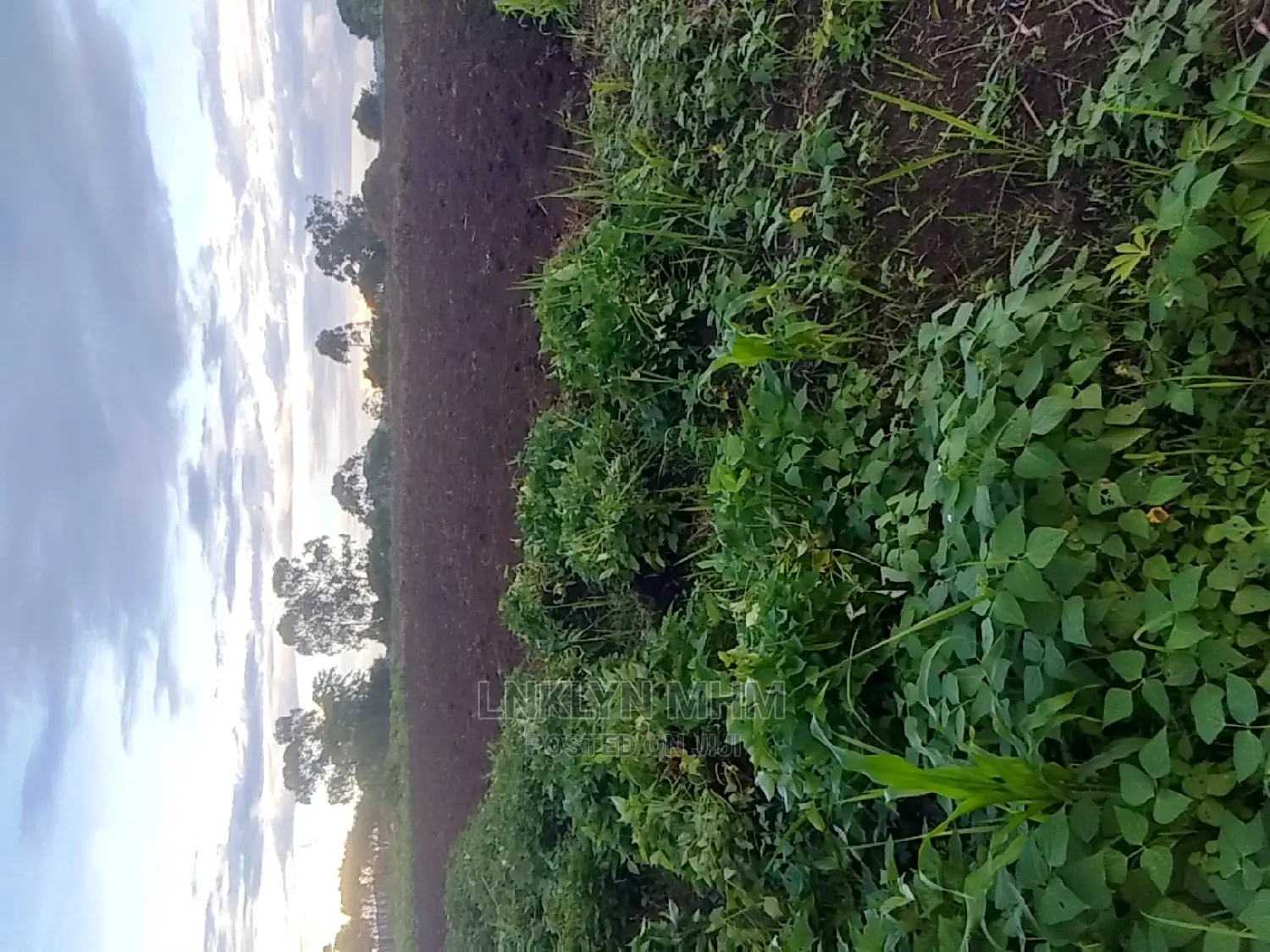 Land for Sale Located in Kagote Fort Portal City