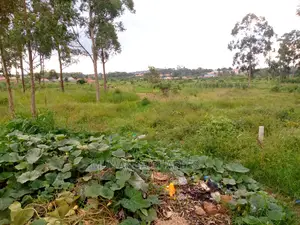 Commercial 1acre of Land for Sale at Kawanda