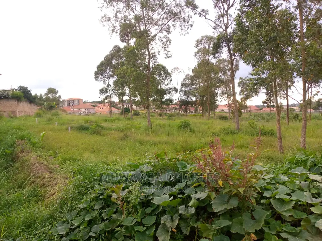 12decimals Plot Available for Sale at Buwate