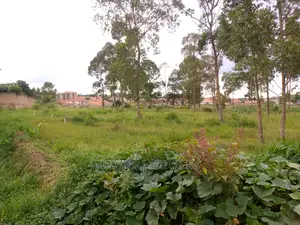 12decimals Plot Available for Sale at Buwate