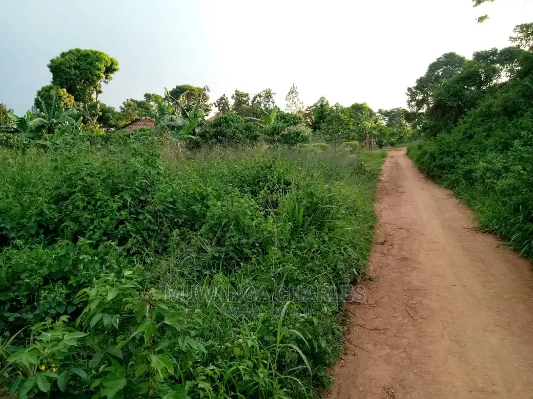 6acres of Land for Sale at Luwero