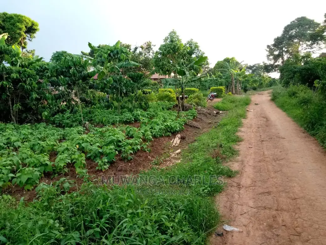 6acres of Land for Sale at Luwero