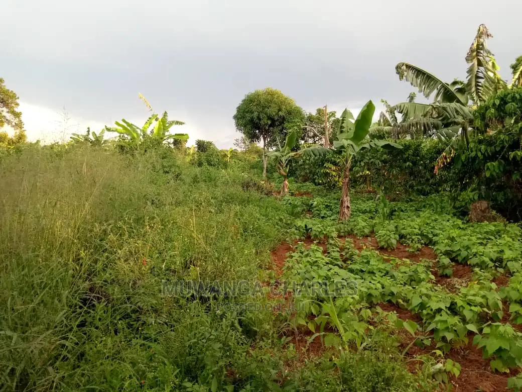 6acres of Land for Sale at Luwero