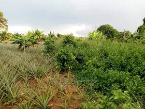 6acres of Land for Sale at Luwero