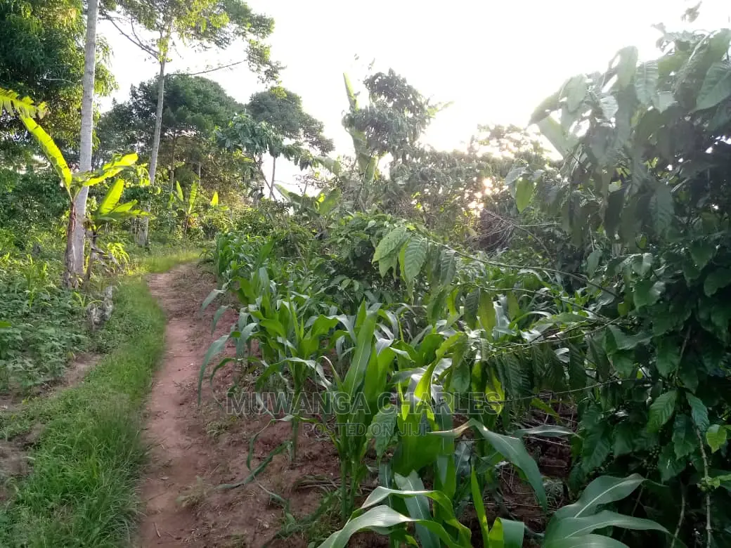6acres of Land for Sale at Luwero