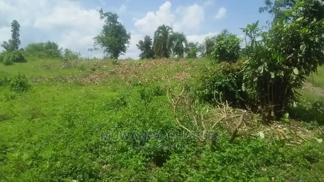 12decimals for Sale at Kira Kitukutwe