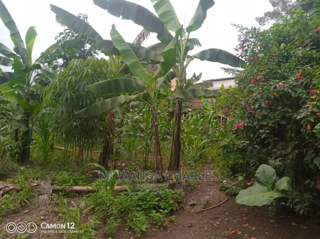 12decimals for Sale at Kira Kitukutwe