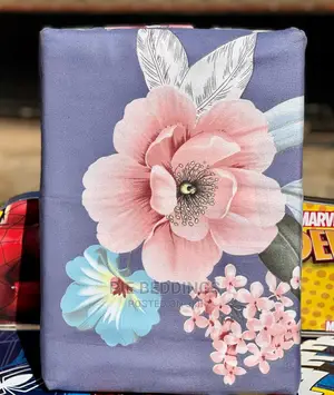 Bedsheets With 2 Pillow Cases