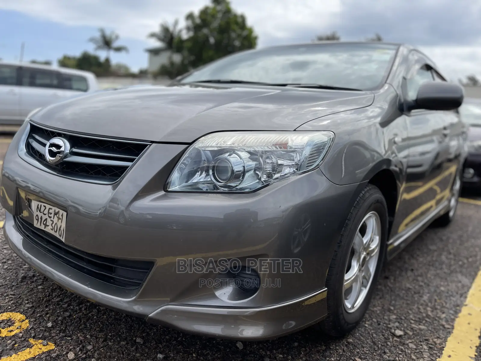 Toyota Corolla Fielder 2010 Gray