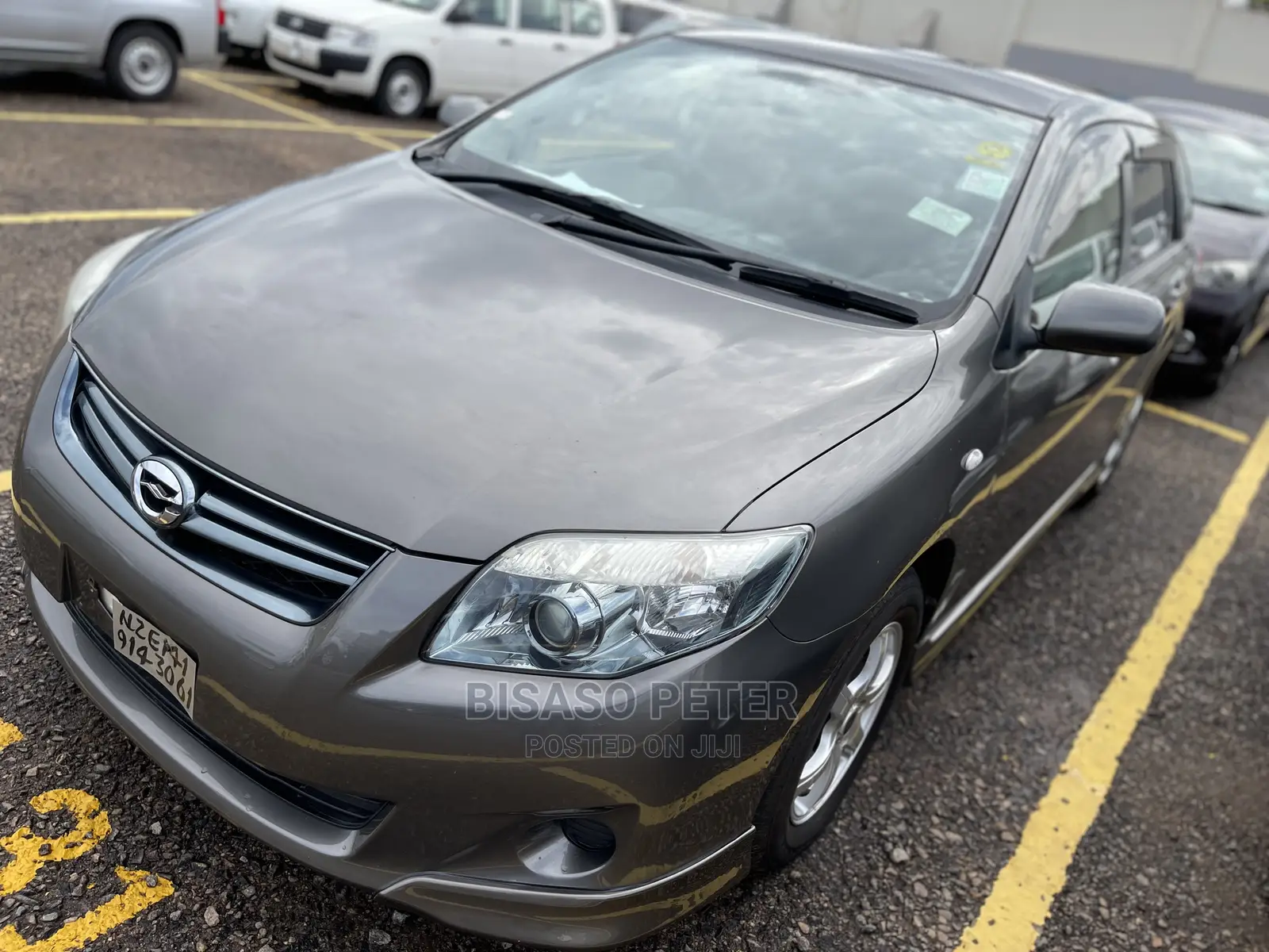 Toyota Corolla Fielder 2010 Gray
