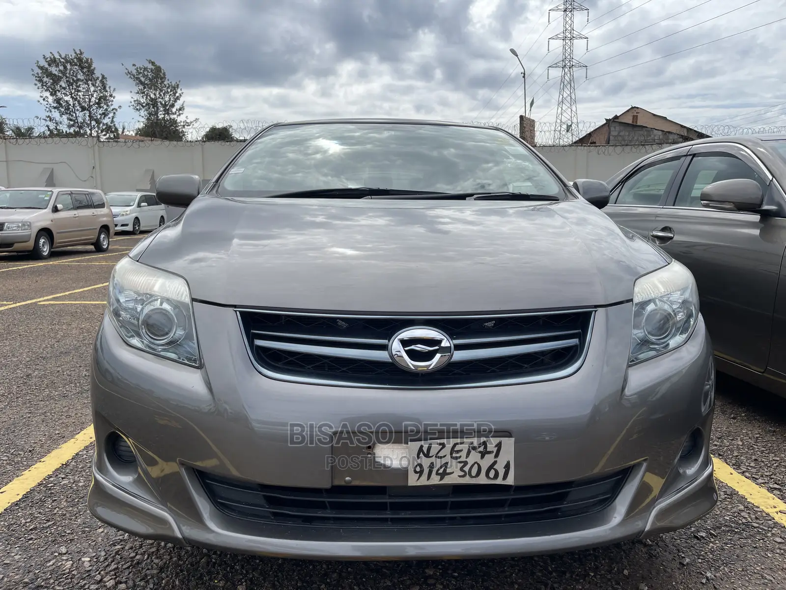 Toyota Corolla Fielder 2010 Gray