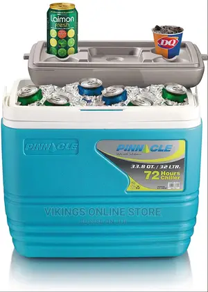Ice Cooler Box, Keeps Cold Upto 72 Hours (32 Litre, Blue)