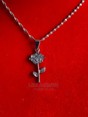 Simple and Classy Lady’S Necklaces Available