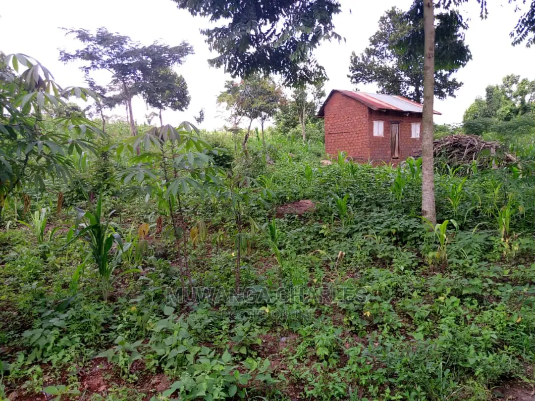 Plots Available for Sale at Kira