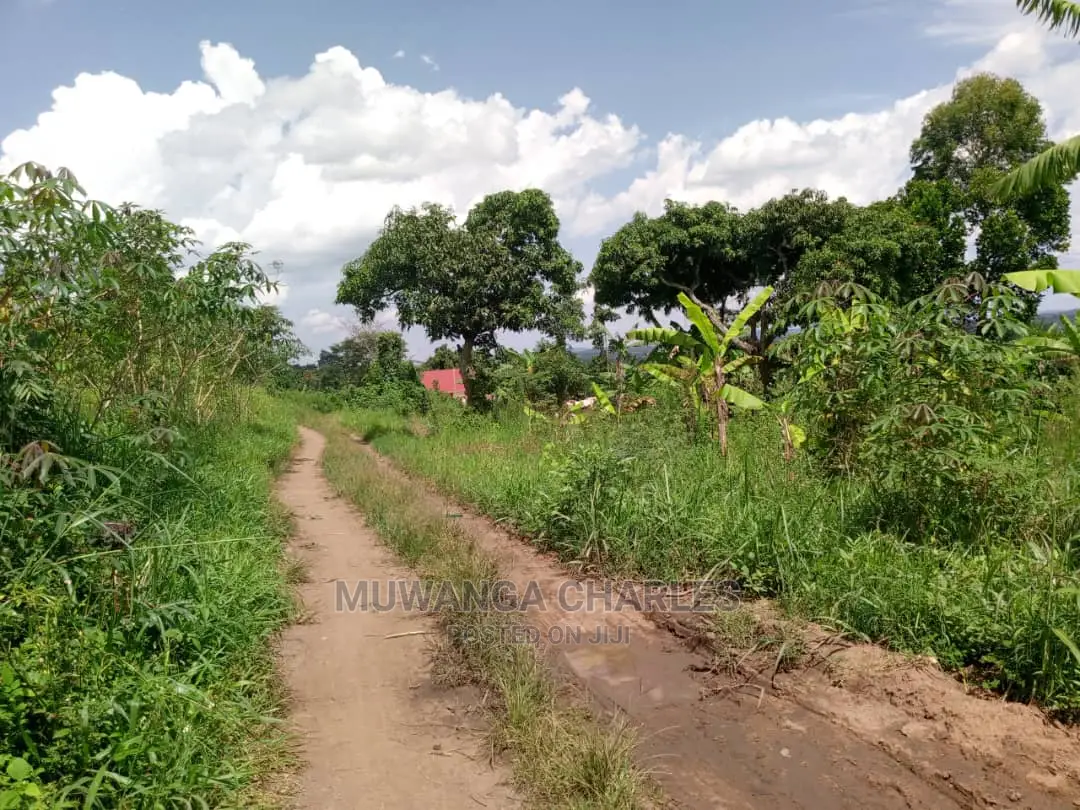 Plots Available for Sale at Kira