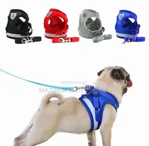 Step-in Vest Dog Harness and Leash Set
