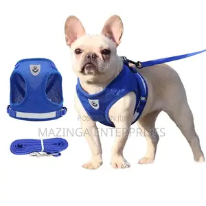 Step-in Vest Dog Harness and Leash Set