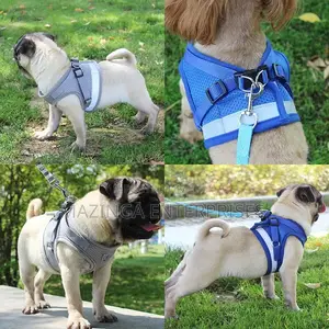 Step-in Vest Dog Harness and Leash Set